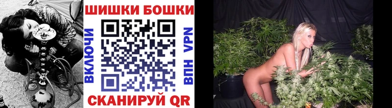 Шишки марихуана индика  где купить наркотик  Пласт 